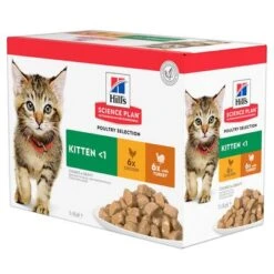 Hill's Science Plan Hill's Kitten Para Gatos -Ofertas Mascotas Tienda 101365 pla hills science plan kitten gefluegel auswahl 5