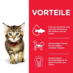 Hill's Science Plan Hill's Kitten Para Gatos -Ofertas Mascotas Tienda 102009 hill s science plan kitten seefisch hs 04 3