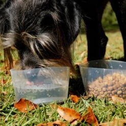 Comedero Plegable Mobowl -Ofertas Mascotas Tienda 111118 texstar mobowl foldablebowl hs 02 9