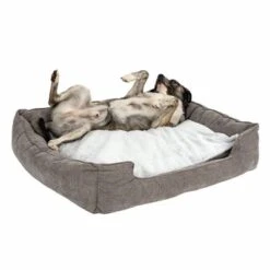 Cama Austin Para Perros 26 Cama Austin Para Perros -Ofertas Mascotas Tienda 111542 hundebett mem foam austin fg 0510 2