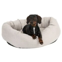 Cama Modern Living Bailey Para Perros -Ofertas Mascotas Tienda 111544 hundebett baily fg 0614 5