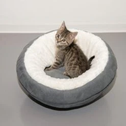 Cueva Ellora Para Gatos Y Perros Pequeños -Ofertas Mascotas Tienda 116107 und katze fg 5030 9