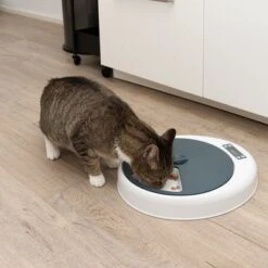 Alimentador Automático Noma -Ofertas Mascotas Tienda 116296 futterautomat noma fg 9456 9