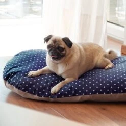 Cojín De Espelta Aumüller Para Perros 11 Cojín De Espelta Aumüller Para Perros -Ofertas Mascotas Tienda 121697 aumueller dinkelkissen hs 06 6