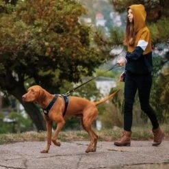 Julius K9 Arnés Para Perros JULIUS-K9 IDC® Longwalk Negro Y Gris 17 Julius K9 Arnés Para Perros JULIUS-K9 IDC® Longwalk Negro Y Gris -Ofertas Mascotas Tienda 123299 julius k9 idc longwalk geschirr schwarz grau hs 14 7