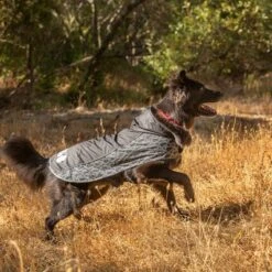 Chubasquero KONG Elements Negro Para Perros -Ofertas Mascotas Tienda 130697 paw kong elements regenmantel schwarz 30kg hs 04 8