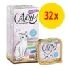 Catessy En Tarrinas 32 X 100 G - Pack Mixto