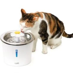 Bebedero Fuente Catit Flower Fountain De Acero, 3 L -Ofertas Mascotas Tienda 135197 hagencontainer catit blumentrinkbrunnen edelstahl trinkbrunnen 3liter hs 06 7