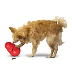 KONG Wobbler Para Snacks -Ofertas Mascotas Tienda 1355067777031411080314 3