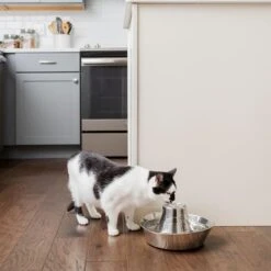 Bebedero Fuente Drinkwell Seaside De PetSafe De Acero -Ofertas Mascotas Tienda 145896 radiosystems petsafe edelstahl trinkbrunnen kustenrauschen 1 8l hs 04 7