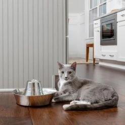 Bebedero Fuente Drinkwell Seaside De PetSafe De Acero -Ofertas Mascotas Tienda 145896 radiosystems petsafe edelstahl trinkbrunnen kustenrauschen 1 8l hs 05 8