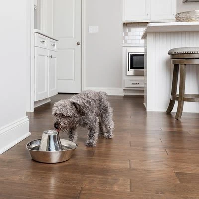 Bebedero Fuente Drinkwell Seaside De PetSafe De Acero - Imagen 5