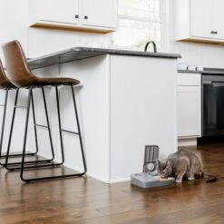 Comedero Automático Doble PetSafe® Para Mascotas -Ofertas Mascotas Tienda 145997 rasiosystems petsafe futterautomat 2mahlzeiten catdog 2x355xml hs 11 4