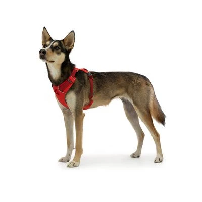Arnés Ruffwear New Front Range Rojo Para Perros 5 Arnés Ruffwear New Front Range Rojo Para Perros - Imagen 5