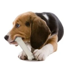 Huesos Nylabone Puppy - Pack De Inicio -Ofertas Mascotas Tienda 150796 interpet nylabone puppy starterkit dogchew hs 04 5