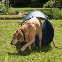 Túnel Agility Trixie -Ofertas Mascotas Tienda 15686 trixie agility tunnel fg 23 7