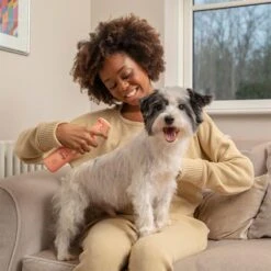 Pet Head Quick Fix Champú En Seco Para Perros -Ofertas Mascotas Tienda 159702 companyofanimals pethead quickfixspray 300ml hs 05 3