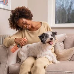 Pet Head Quick Fix Champú En Seco Para Perros -Ofertas Mascotas Tienda 159702 companyofanimals pethead quickfixspray 300ml hs 06 2