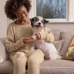 Pet Head On All Paws Paw Butter Bálsamo Para Las Almohadillas -Ofertas Mascotas Tienda 159703 companyofanimals pethead onall pawspawbutter 40g hs 05 1