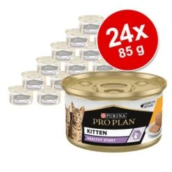 PURINA PRO PLAN Kitten Healthy Start 24 X 85 G En Latas -Ofertas Mascotas Tienda 171799 purina proplan cat kitten 85g hs 03 5