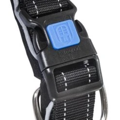 Collar ArmoredTech Dog Control Con Correa Corta Integrada Para Perros 5 Collar ArmoredTech Dog Control Con Correa Corta Integrada Para Perros -Ofertas Mascotas Tienda 173096 173097 173098 asaquaristik dogcontrol halsband schwarz hs 02 5