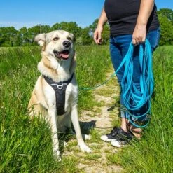 Petlando Correa Larga Para Perros Pawz & Pepper Strong Azul -Ofertas Mascotas Tienda 174796 174797 pawznpepper schleppleine rund geflochten blau hs 06 9
