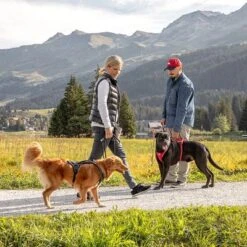 Arnés Curli Belka Comfort Negro Para Perros 14 Arnés Curli Belka Comfort Negro Para Perros -Ofertas Mascotas Tienda 176034 curli belka comfort geschirr schwarz hs 12 7