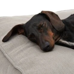 Cama Hamilton EcoLIFE Gris Para Perros -Ofertas Mascotas Tienda 180715 hamilton ecolife grau fg 6400 5