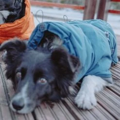 Abrigo Invernal Bare Storm Hurtta Para Perros -Ofertas Mascotas Tienda 186541 188196 188197 188198 188199 188200 188201 hurtta zooplus bare winterjacke storm hs 07 2