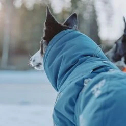 Abrigo Invernal Bare Storm Hurtta Para Perros -Ofertas Mascotas Tienda 186541 188196 188197 188198 188199 188200 188201 hurtta zooplus bare winterjacke storm hs 08 6