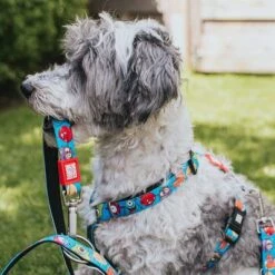 Arnés Max & Molly Little Monsters Para Perros 16 Arnés Max & Molly Little Monsters Para Perros -Ofertas Mascotas Tienda 186583 186584 189797 maxnmolly hg eschirr littlemonsters hs 01 7