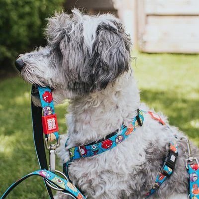 Arnés Max & Molly Little Monsters Para Perros 7 Arnés Max & Molly Little Monsters Para Perros - Imagen 7