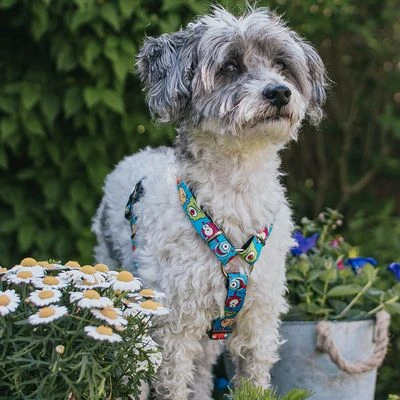 Arnés Max & Molly Little Monsters Para Perros 2 Arnés Max & Molly Little Monsters Para Perros - Imagen 2