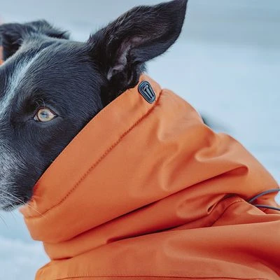 Abrigo Invernal Bare Sunrise Hurtta Para Perros - Imagen 8