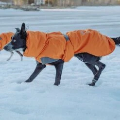 Abrigo Invernal Bare Sunrise Hurtta Para Perros -Ofertas Mascotas Tienda 188296 188297 188298 188299 188300 188301 188302 hurtta forzooplus bare winterjacke sunrise hs 17 5