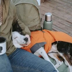 Abrigo Invernal Bare Sunrise Hurtta Para Perros -Ofertas Mascotas Tienda 188296 188297 188298 188299 188300 188301 188302 hurtta forzooplus bare winterjacke sunrise hs 20 2