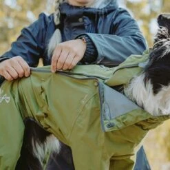 Chubasquero Bare Pine Hurtta Para Perros -Ofertas Mascotas Tienda 188303 188304 188305 188396 186542 186543 hurtta forzooplus bare regenoverall pine hs 06 8