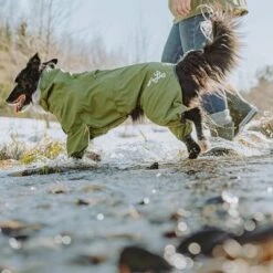 Chubasquero Bare Pine Hurtta Para Perros -Ofertas Mascotas Tienda 188303 188304 188305 188396 186542 186543 hurtta forzooplus bare regenoverall pine hs 10 0