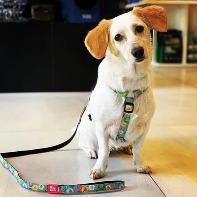 Arnés Max & Molly Donuts Para Perros 2 Arnés Max & Molly Donuts Para Perros - Imagen 2