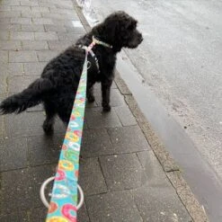 Arnés Max & Molly Donuts Para Perros 19 Arnés Max & Molly Donuts Para Perros -Ofertas Mascotas Tienda 190296 190297 190396 maxnmolly hg eschirr donuts hs 05 6