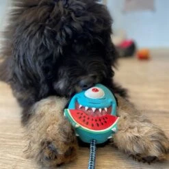 Max & Molly Bubba King Juguete De Látex Para Perros -Ofertas Mascotas Tienda 191100 maxn molly kuscheltier spielzeug bubba king hs 04 5