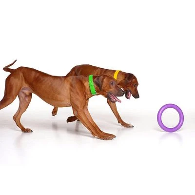 Ferplast Puller Juguete Para Perros 7 Ferplast Puller Juguete Para Perros - Imagen 7