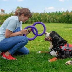 Ferplast Puller Juguete Para Perros 22 Ferplast Puller Juguete Para Perros -Ofertas Mascotas Tienda 199296 ferplastitalien ferplast hundespielzeug puller midi 27cm hs 11 7