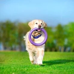 Ferplast Puller Juguete Para Perros 25 Ferplast Puller Juguete Para Perros -Ofertas Mascotas Tienda 199296 ferplastitalien ferplast hundespielzeug puller midi 27cm hs 16 5