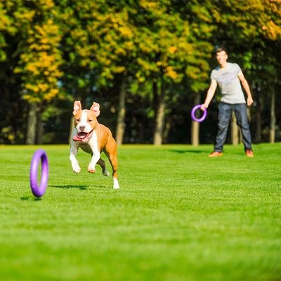 Ferplast Puller Juguete Para Perros 12 Ferplast Puller Juguete Para Perros - Imagen 12