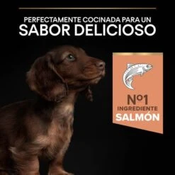 PURINA PRO PLAN Small & Mini Puppy Sensitive Skin -Ofertas Mascotas Tienda 1 44152329 es es 221230 1 7
