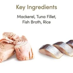 Applaws Latas En Caldo Para Gatos 12 X 156 G -Ofertas Mascotas Tienda 1 71551 applaws bruehe meeresfisch 156g hs 01 4