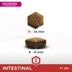 Eukanuba VETERINARY DIETS Intestinal Pienso Para Perros -Ofertas Mascotas Tienda 1 8710255128481 1 4