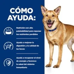Hill's I/d Prescription Diet Digestive Care Estofado Para Perros -Ofertas Mascotas Tienda 1 pd id dog bk33557 how helps es 5