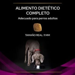 Purina UR Urinary Veterinary Diets Pienso Para Perros -Ofertas Mascotas Tienda 1 puppvdddppvur22ksizles 220629 1 1656985195811 0